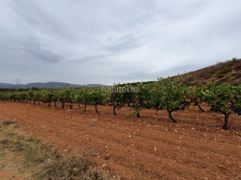 Foto 7f7ebb67-cc57-48c8-b771-d170a914d4fe. Finca rústica a avinguda de l'infant pere 16 a Falset