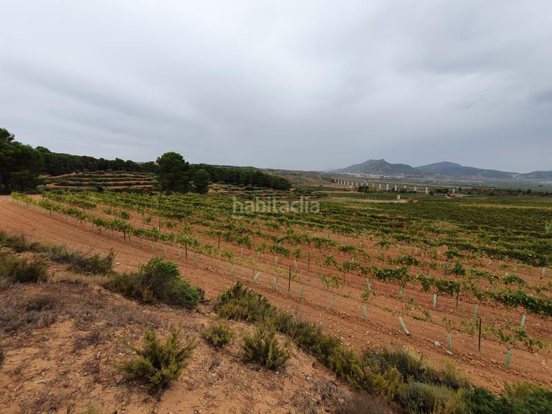 Foto f52aaf91-f6b3-4f5d-b5d9-d5a144bdaee4. Finca rústica a avinguda de l'infant pere 16 a Falset