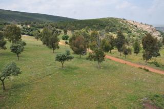 Finca rústica a N/a. Finca de caza en puertollano