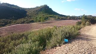 Fondo rustico in Casco Histórico. Finca de 1809 hectareas en cuenca totalmente vallada
