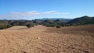Finca rústica a N/a. Finca de 1227 hectareas ganadera y agricola en jaen