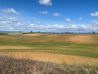 Propriété à Motilla del Palancar. Finca de caza 1700 hectareas en motilla del palancar
