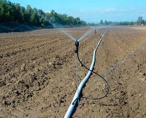Rural plot in Yecla. Finca de 176 hectareas regadio en yecla