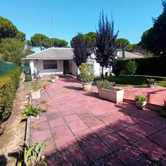 Chalet  Avenida del pinar