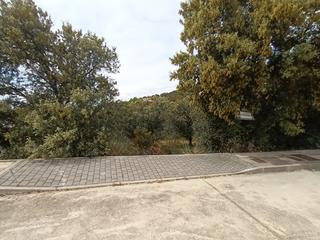 Residential Plot in Calle sin nombre 484