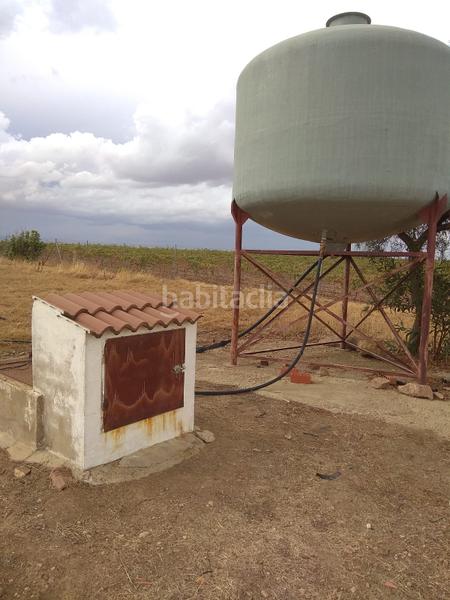 Foto 00d005c3-68d0-4441-8489-00fd68091af5. Finca rústica a Aceuchal