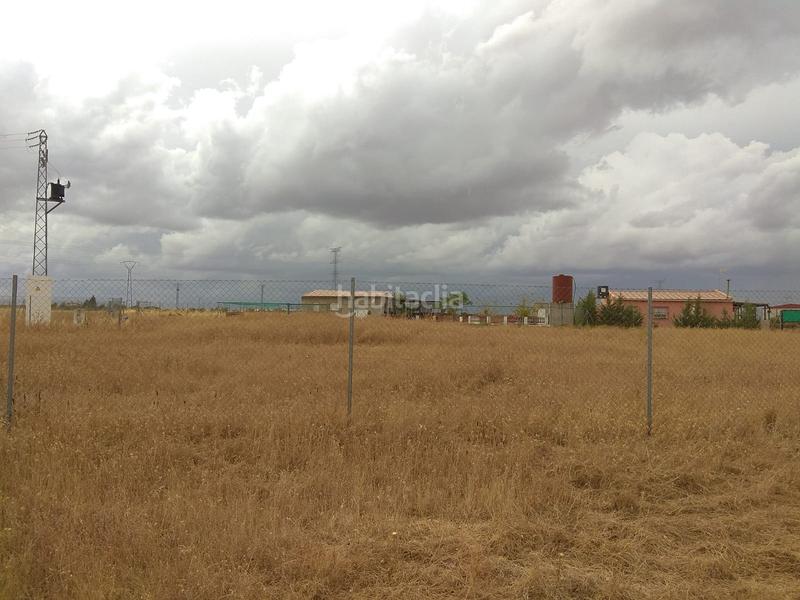 Foto 350df5fb-23a3-4108-ac55-92cb762fc9b3. Finca rústica a Aceuchal