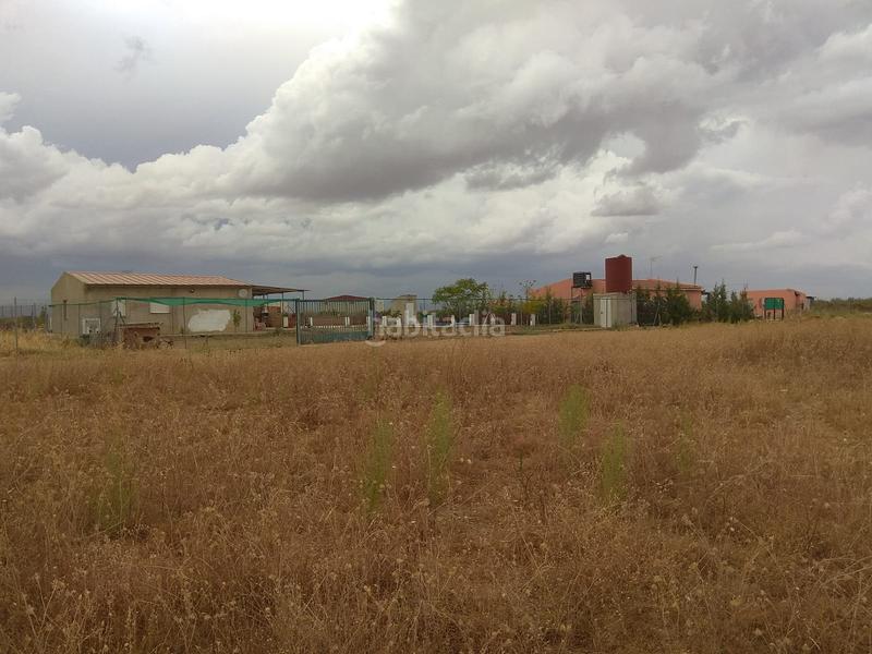 Foto afc311c1-74b0-49fb-abed-09f6408a79b6. Finca rústica a Aceuchal