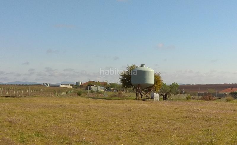 Foto c88fc795-fbda-46f6-ab05-e3056e7b2f38. Finca rústica a Aceuchal