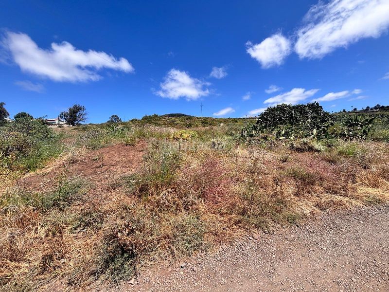 Foto b3146276-8882-4dda-96e2-d7c1d0cd94df. Terreny residencial a El Pris - Juan Fernández Tacoronte