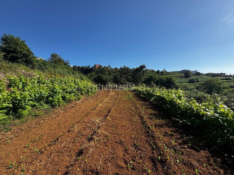 Foto 17ed8250-cdc5-47d7-976f-2075eb541c86. Finca rústica a Sauzal (El)