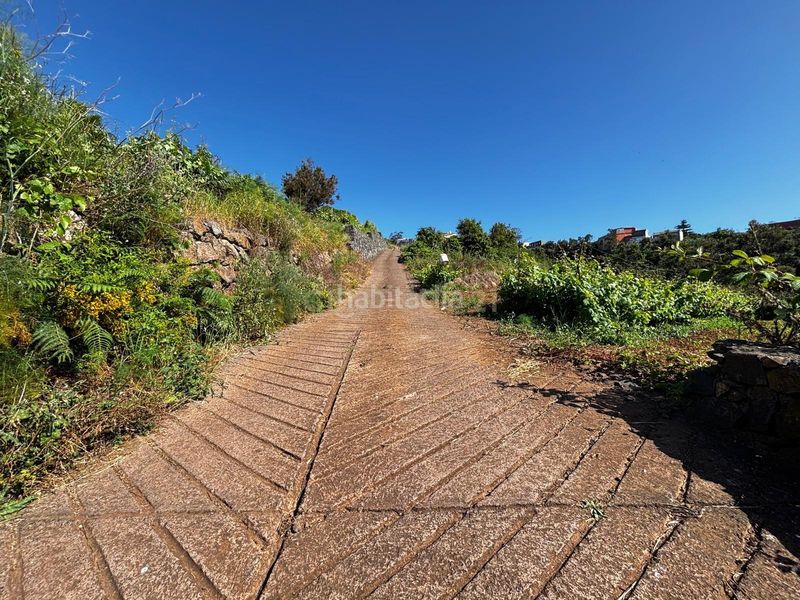 Foto 609b7801-282f-423d-ad94-fa6728095e2e. Finca rústica a Sauzal (El)