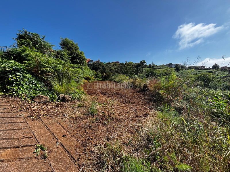 Foto 852b0fdb-5852-4a12-a0d9-65072687ba69. Finca rústica a Sauzal (El)