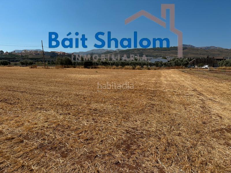 Foto 4c6f17aa-fe56-4523-9102-e67a81a44ff5. Fondo rustico in Fuentemora Antequera