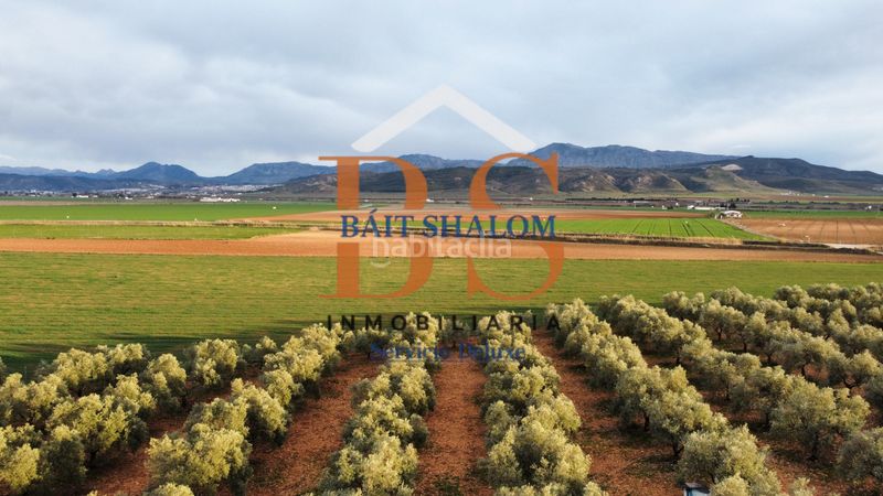 Foto 5bf27cc9-7ece-44f1-91dc-a9e74c8e1d57. Finca rústica a Centro Antequera