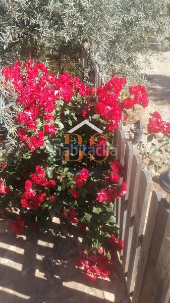 Foto 748c83cc-c3ae-4e39-ba1d-b1868344ec9d. Finca rústica a Centro Antequera