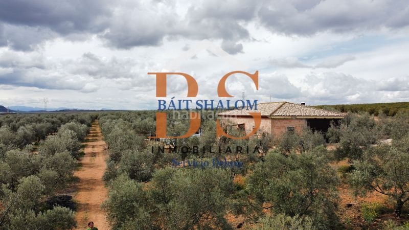 Foto bdab9f97-b971-4062-a6fa-f73388aa39bb. Finca rústica a Centro Antequera