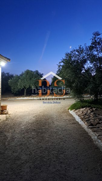 Foto d29e5f2d-67d2-4d2c-b247-05560ad38509. Finca rústica a Centro Antequera