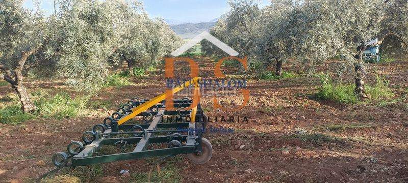 Foto e6a9e05f-c165-4390-a8c8-05b111040594. Finca rústica a Centro Antequera