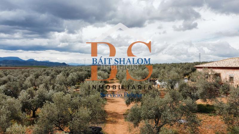 Foto 6a82703a-e5b4-4a7c-80d3-98f3f96e88ee. Finca rústica a Centro Antequera