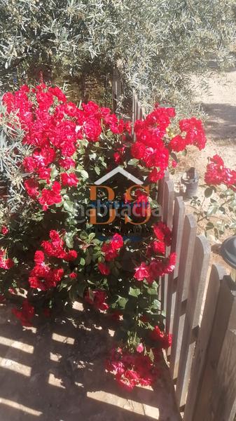 Foto 748c83cc-c3ae-4e39-ba1d-b1868344ec9d. Finca rústica a Centro Antequera