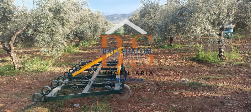 Foto e6a9e05f-c165-4390-a8c8-05b111040594. Finca rústica a Centro Antequera