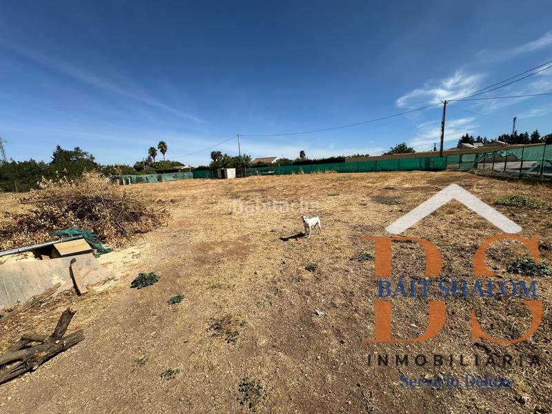 Foto 4eaada12-38de-46e2-9f04-7b8b91f080d1. Fondo rustico in Centro Antequera