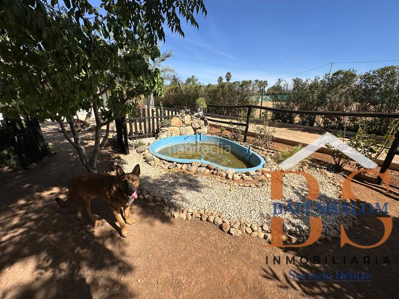 Foto d95e3089-53fb-4191-848f-4e515a4653ba. Fondo rustico in Centro Antequera