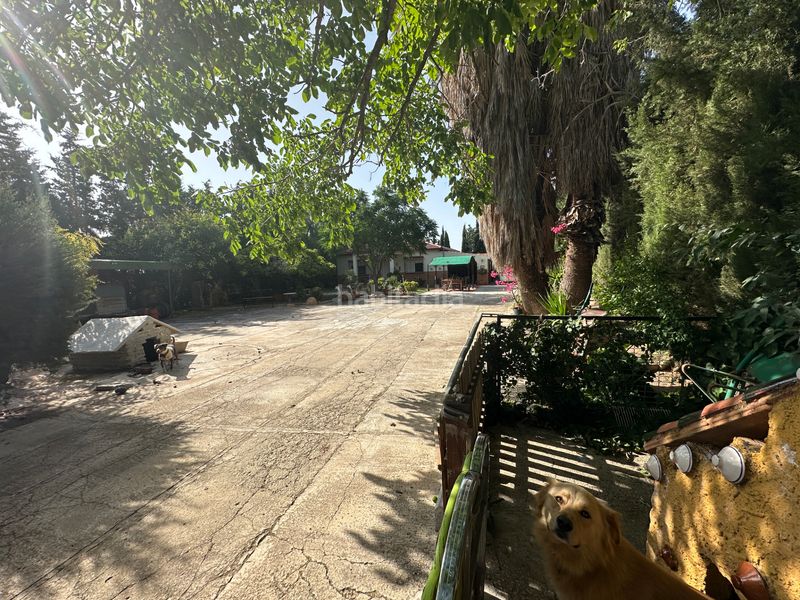 Foto 1bccfb6a-09f1-4559-aa8c-51c8a597ec43. Finca rústica a Centro Antequera