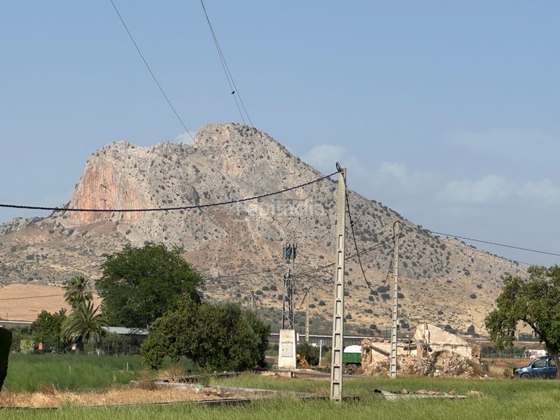 Foto 6cc4b1bf-76f3-4011-9fea-1ab25923699c. Finca rústica a Centro Antequera