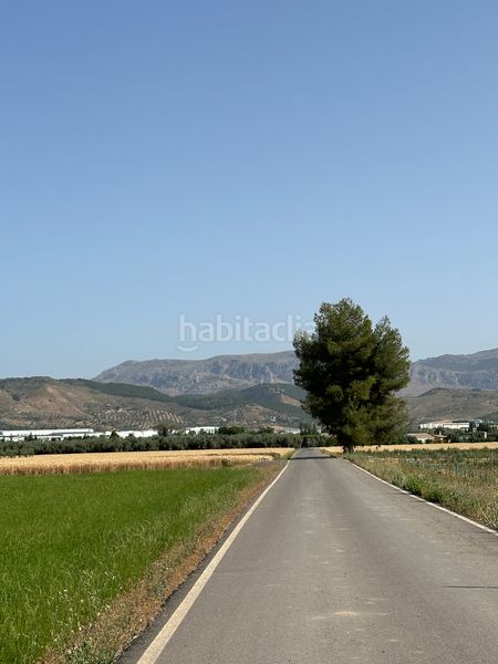 Foto 8078ee99-5117-4b38-8f74-2cf416a0bc35. Finca rústica a Centro Antequera