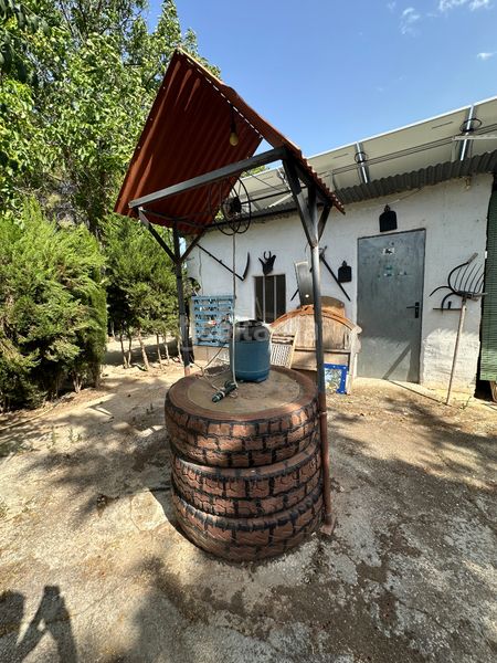 Foto 95daec40-6b14-4022-81fd-b8ee553d0616. Finca rústica a Centro Antequera