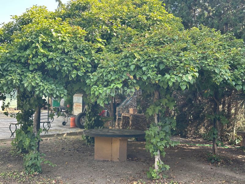 Foto c2756fbc-e82a-47c1-8269-5b294f7686ce. Finca rústica a Centro Antequera