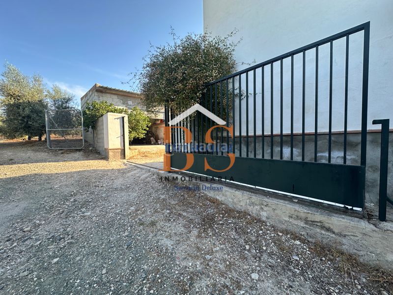 Foto 491de9b2-c5ba-4525-b3e6-94a0a535fc58. Finca rústica a Archidona