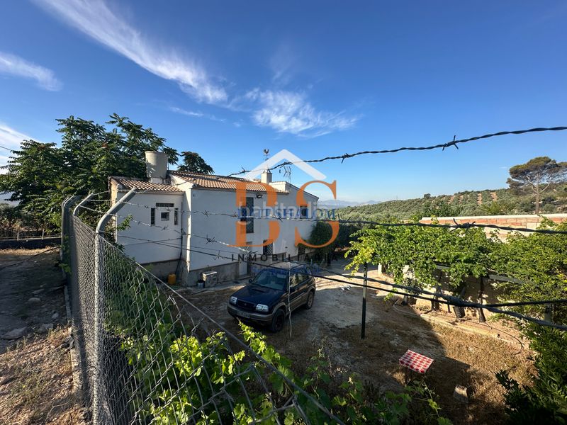 Foto a0d9aafa-7dfb-49a6-b661-a1f713f71684. Finca rústica a Archidona