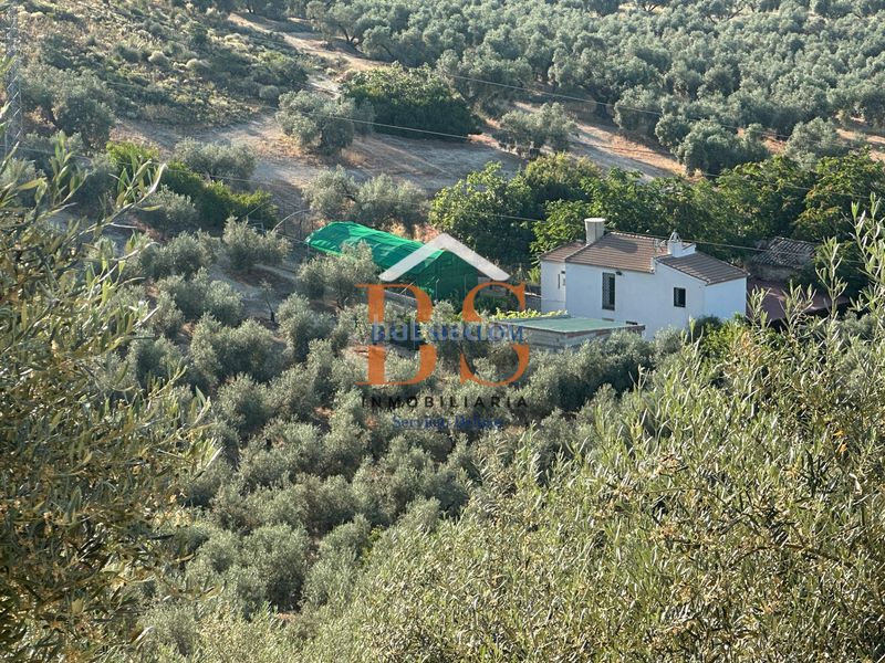 Foto a6469cba-e92c-488a-a252-89422160b6d1. Finca rústica a Archidona