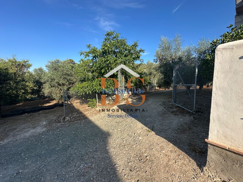 Foto eeafd69b-c663-4ee4-b40a-816bcb330a20. Finca rústica a Archidona