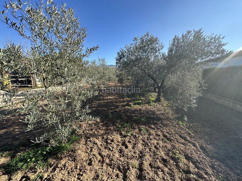 Foto 4153fbe1-e561-4858-8c85-76de48a04adb. Finca rústica a Centro Antequera