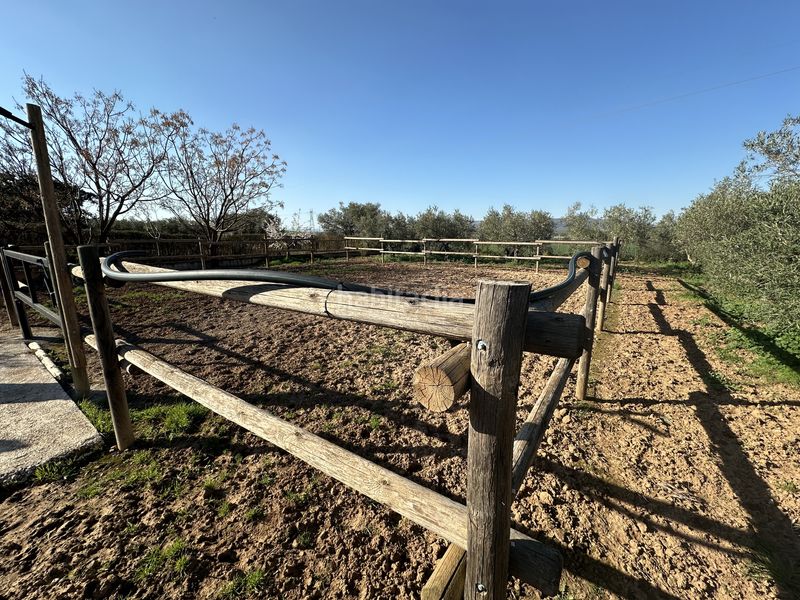 Foto 4b598884-9303-4a1e-8778-44832a7990f2. Finca rústica a Centro Antequera