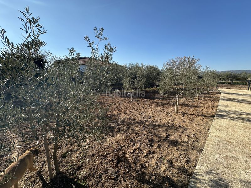 Foto b845aa08-5e11-4171-baef-a38e3083b561. Finca rústica a Centro Antequera