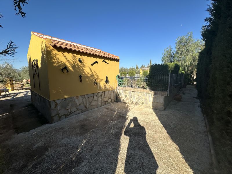 Foto c5fc2c87-2b4e-4249-b6e6-2ea3f9d0a7ef. Finca rústica a Centro Antequera