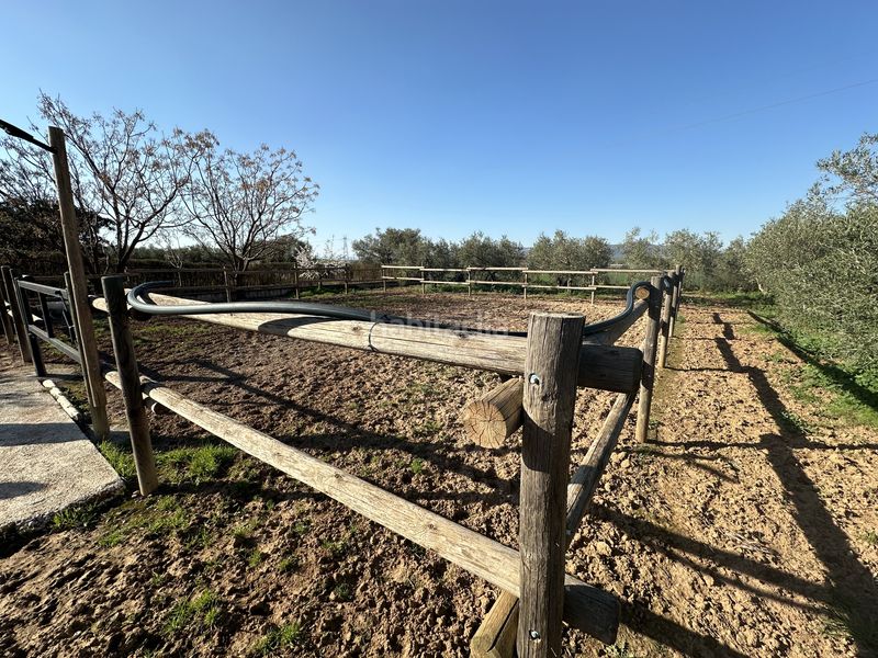Foto e46c1d27-9856-4736-b258-71d634df9d24. Finca rústica a Centro Antequera