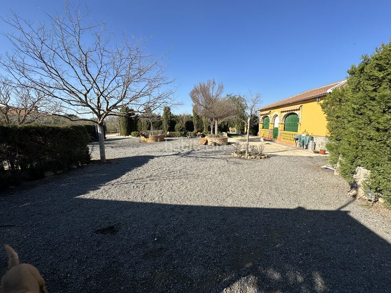 Foto fe3fcc11-4f8f-4718-a3a1-60433d584008. Finca rústica a Centro Antequera