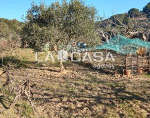 Terrain résidentiel  Carrer de severo ochoa. Finca rústica en la font del ràdium con viñedos, olivos y agua p