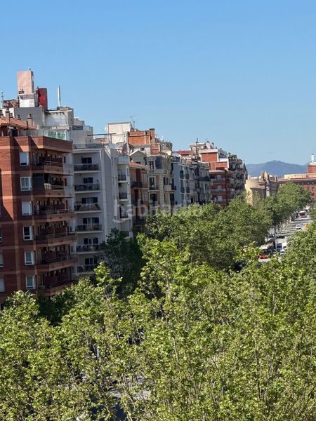 Foto 2062622d-a3e3-4b63-83f3-6c1f56a903a1. Pis a Sant Antoni Barcelona