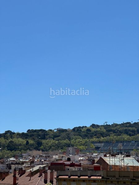 Foto cdf1e4a4-ae21-46ed-bec3-d7ae6cf133fc. Pis a Sant Antoni Barcelona