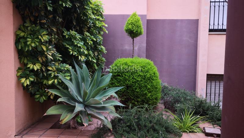 Foto f36dae9c-7d5e-4253-90f3-4eea350c7b84. Erdgeschoss mit parking in Casco Antiguo Cartagena