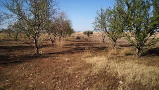 Finca rústica a La Magdalena - Molinos Marfagones
