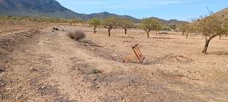 Finca rústica a La Pinilla - Las Palas. Finca rustica