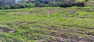 Masia a Campo Nubla. Casa de campo en parcela independiente
